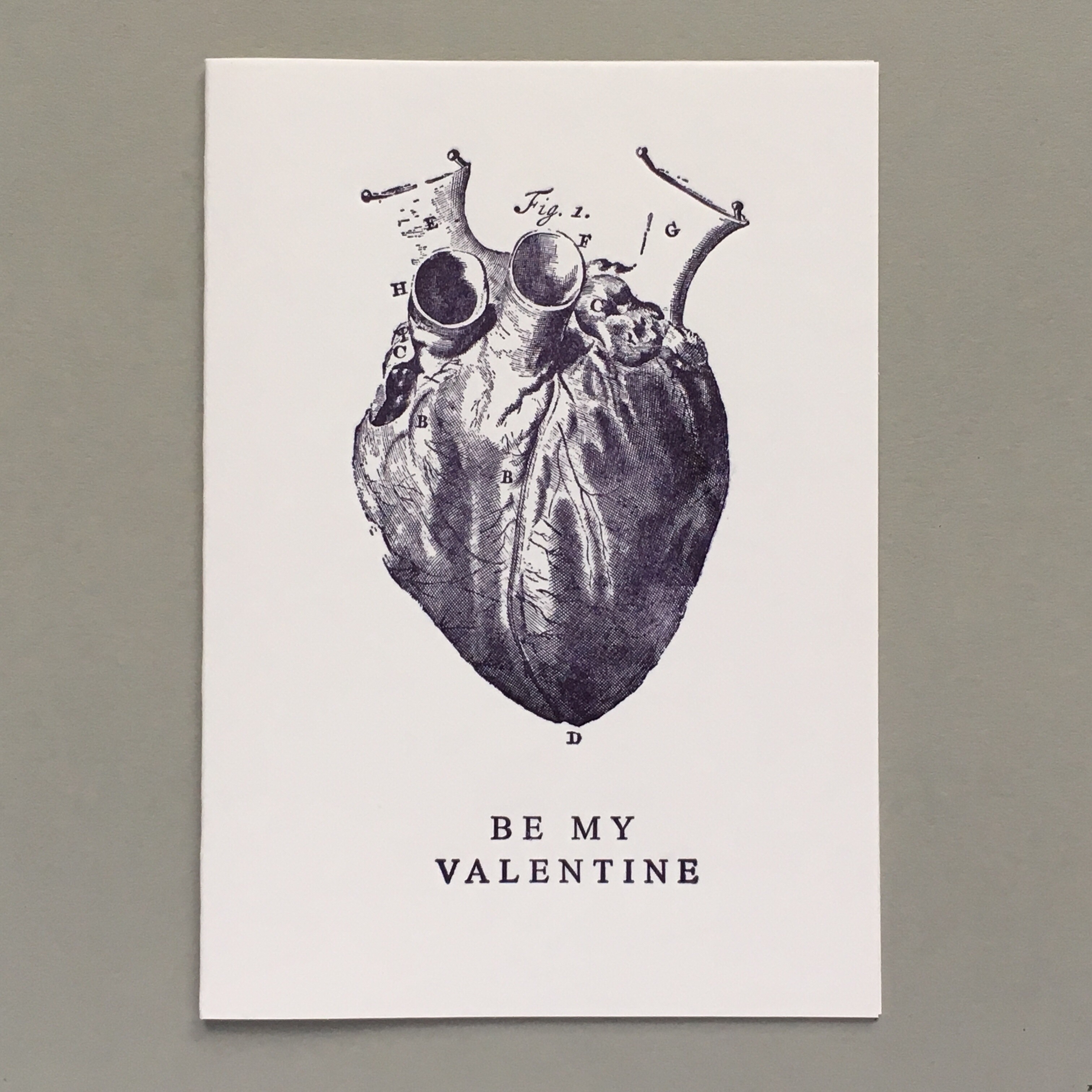 Human Heart. Be my Valentine