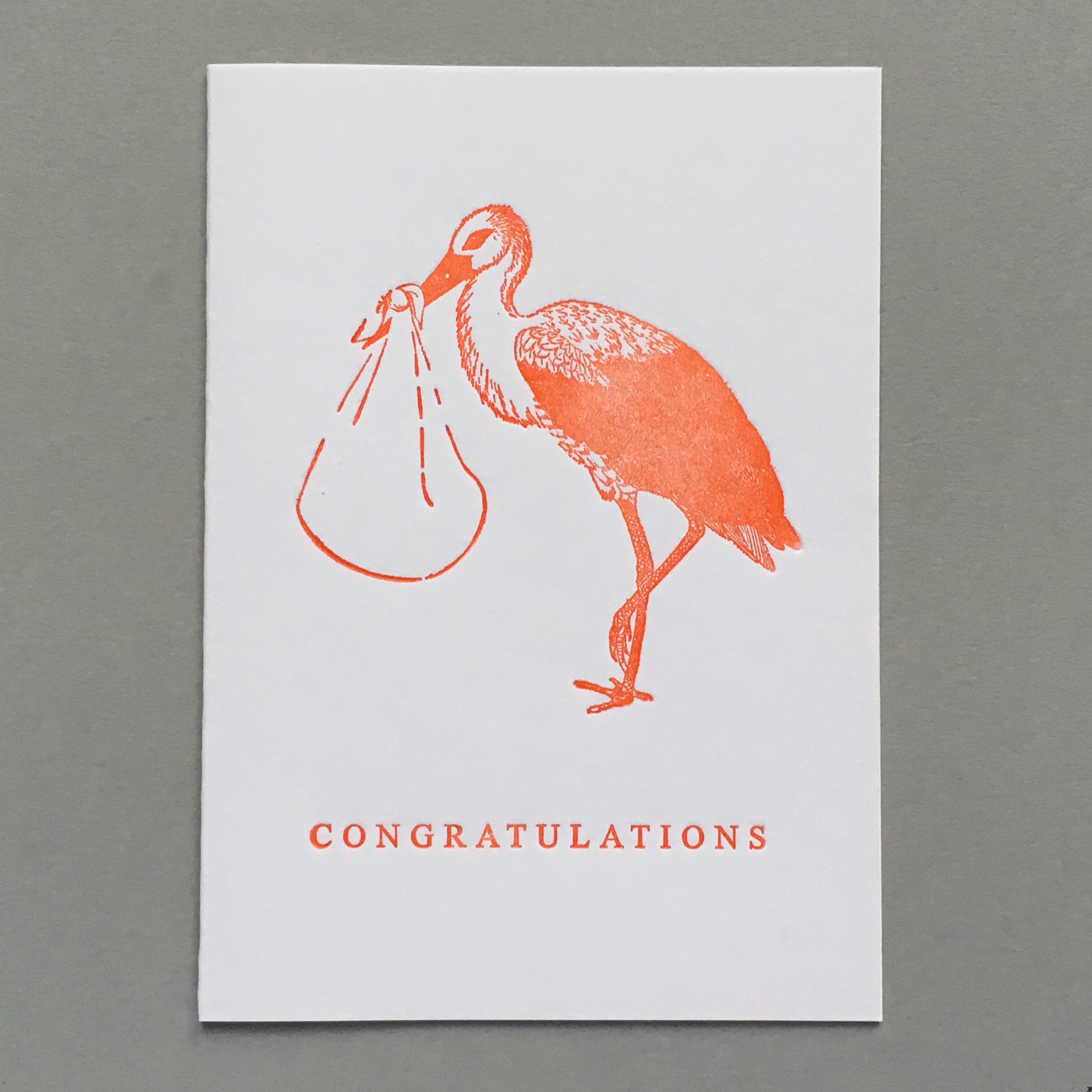 White Stork. Congratulations